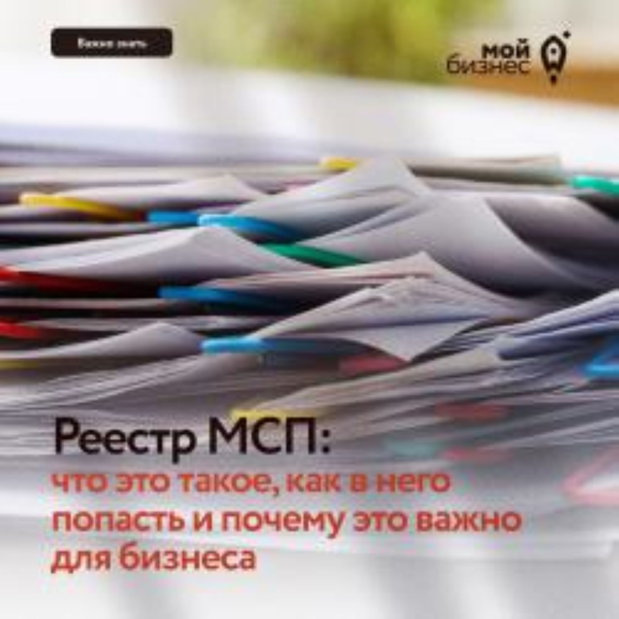 Что такое реестр МСП и как туда попасть?