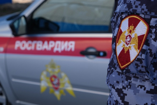 Росгвардия в Смоленской области предотвратила сотни правонарушений за неделю
