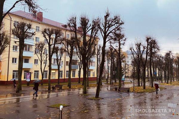 В Смоленске продолжается голосование за проект благоустройства улицы Октябрьской революции