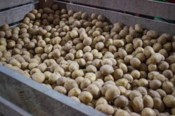 Губернатор Василий Анохин назвал Беларусь нашим ведущим партнёром в области торговли Губернатор Василий Анохин назвал Беларусь нашим ведущим партнёром в области торговли