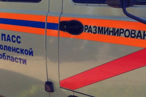 В Смоленской области сапёры обезвредили 25 взрывоопасных предметов военных времён