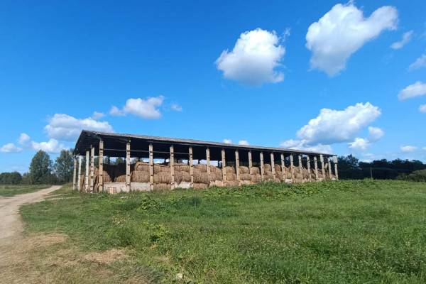 В колонии-поселении №7, что в Смоленской области, завершили заготовку сена