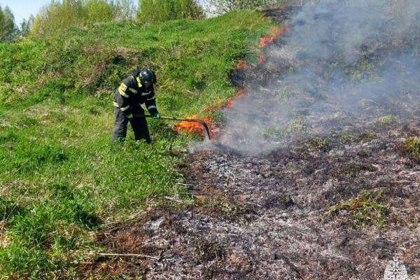 Поджоги сухой травы в Смоленской области: масштаб проблемы