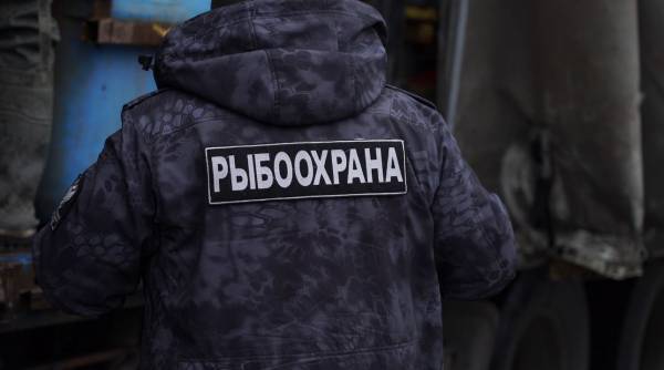 Смоленская АЭС выпустила в водохранилище полмиллиона мальков для сохранения экосистемы