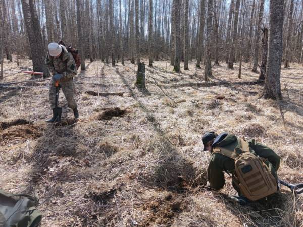 Обнаружение останков советского солдата в Кардымовском районе