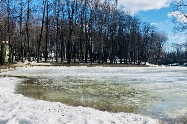 Ночью 30 марта в Смоленской области выпадет снег