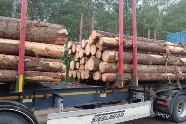 200 млн на поддержку: лесопользователи Смоленской области помогают войскам