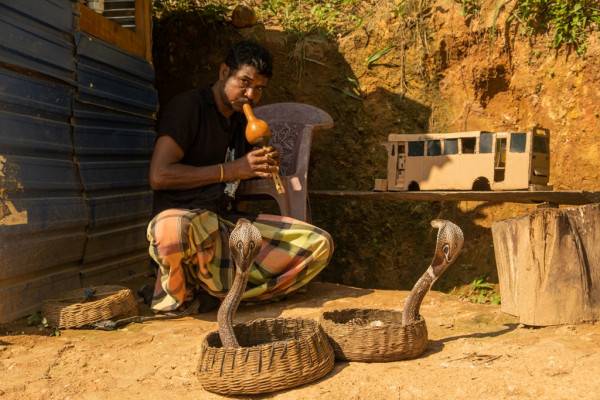 Выставка 'Мир без границ': Фотографии Станислава Старовойтова