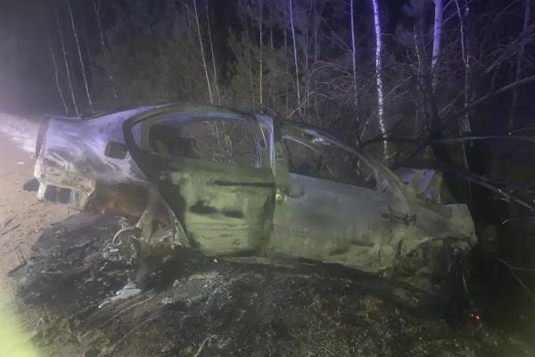 ДТП в Смоленской области: пострадавшие среди пассажиров Skoda Octavia