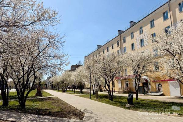 Погода в Смоленской области: Переменная облачность и повышение давления Погода в Смоленской области: Переменная облачность и повышение давления