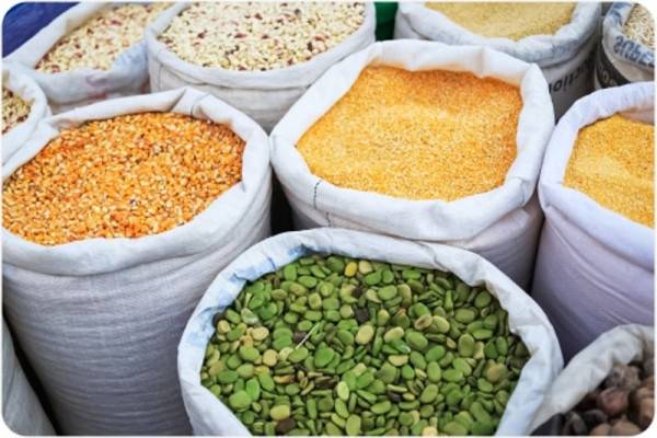 Расширение экспортных продаж компании  Расширение экспортных продаж компании