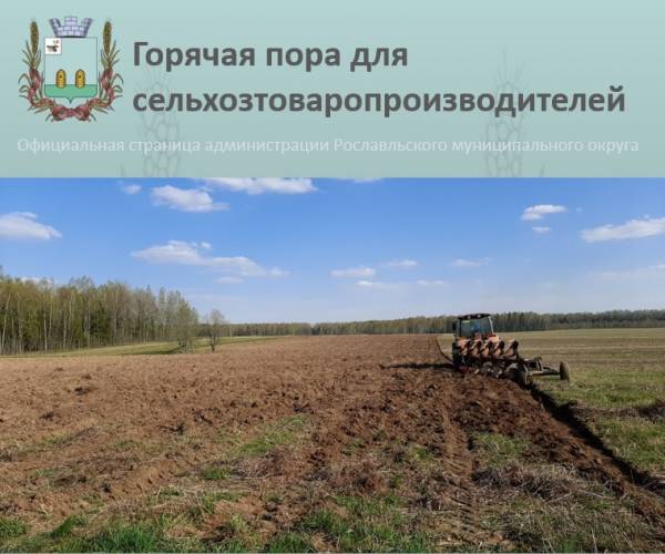 Рославльский район завершил осеннюю уборку урожая досрочно и приступил к севу озимых