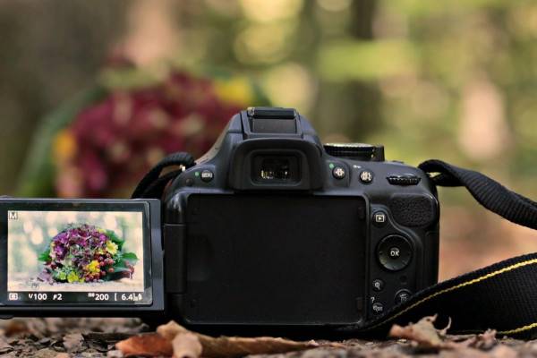 В областном центре подвели итоги конкурса фотографий «Смоленские сезоны»