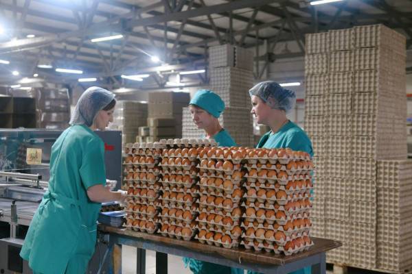 Инвестиции в экономику Смоленской области выросли на треть Инвестиции в экономику Смоленской области выросли на треть