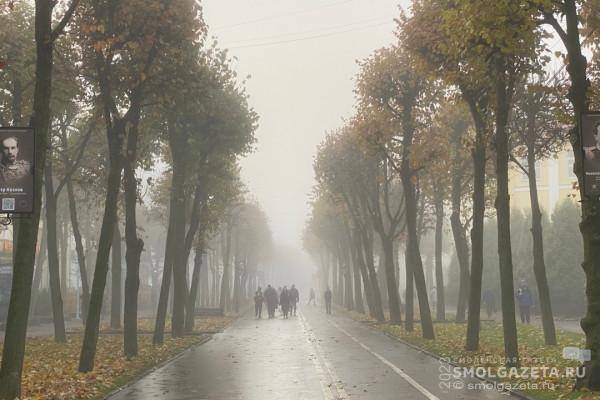 «Жёлтый» уровень опасности объявили в Смоленске из-за тумана