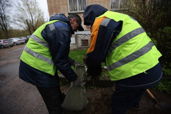 Поздравление мэра Смоленска с Днем работников бытового обслуживания и ЖКХ Поздравление мэра Смоленска с Днем работников бытового обслуживания и ЖКХ
