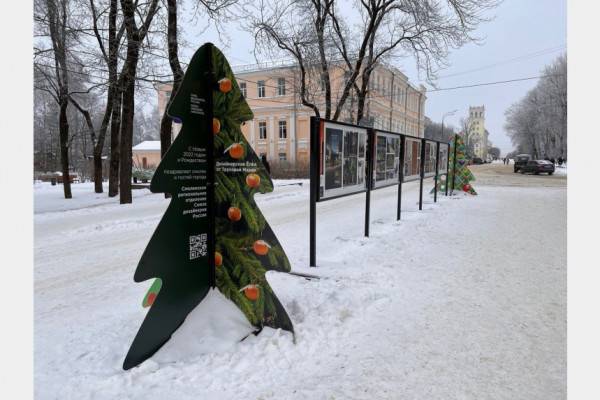 Смолян приглашают принять участие в конкурсе дизайнерских елок