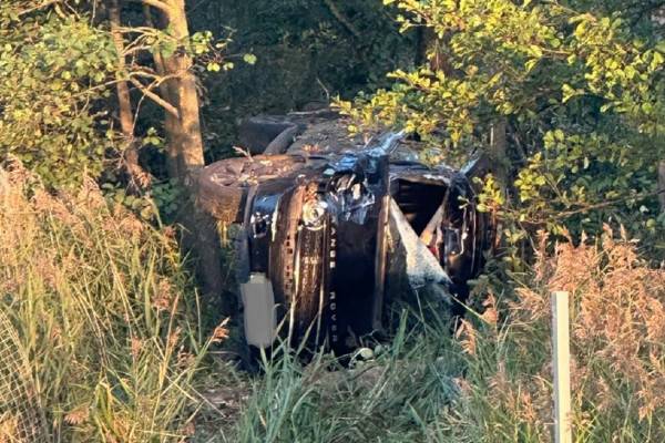 На трассе М-1 в Сафоновском районе иномарка сбила лося