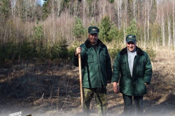 Обновление геоглифа в Краснинском лесхозе