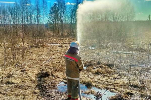Смоленских добровольцев в октябре 14 раз привлекли к тушению пожаров
