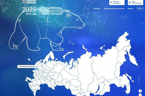 Результаты электронного голосования на выборах в Смоленский городской Совет от партии 