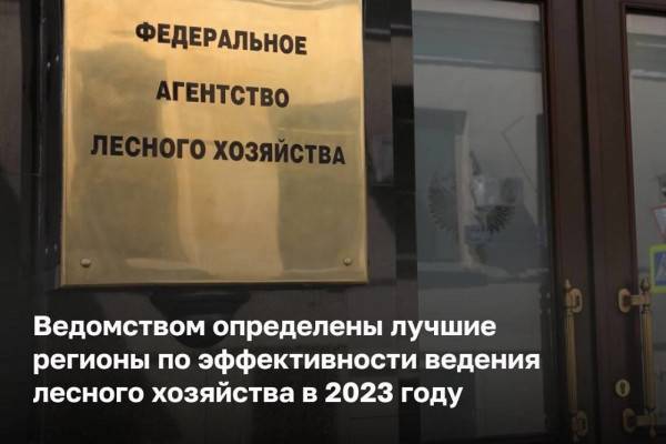 Смоленская область заняла десятое место в рейтинге по эффективности ведения лесного хозяйства