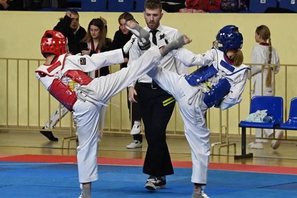 Турнир по тхэквондо 