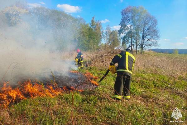 Снижение числа случаев поджога травы в Смоленской области Снижение числа случаев поджога травы в Смоленской области