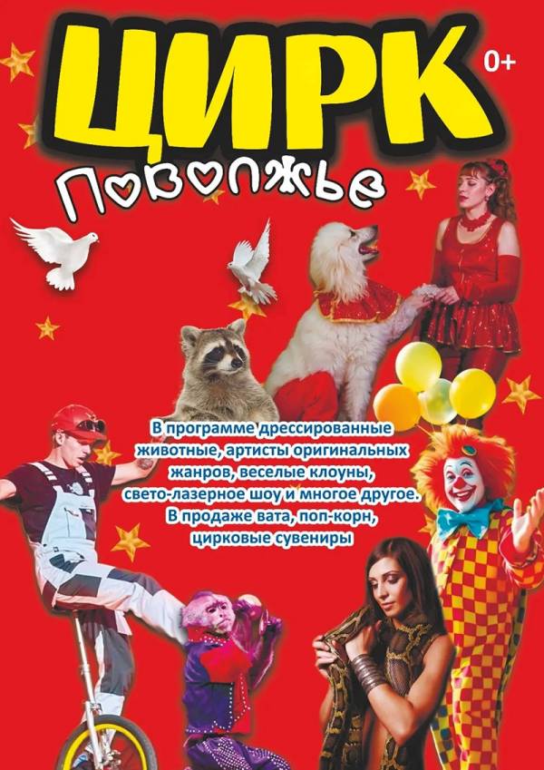 Яркое цирковое представление с экзотическими животными и захватывающими номерами