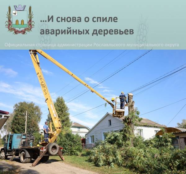 Рубка опасных деревьев в Рославле: сделано и что предстоит