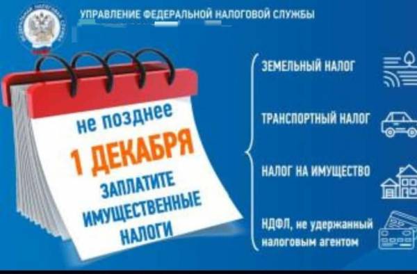 1 декабря 2023 года — крайний срок уплаты налогов за 2022 год
