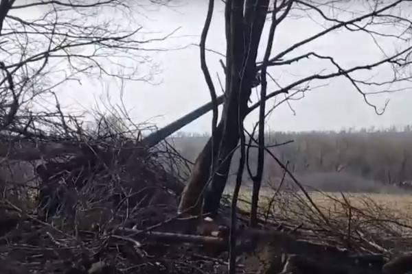 Артиллеристы группировки войск «Запад» ведут круглосуточную охоту за расчетами и танками ВСУ