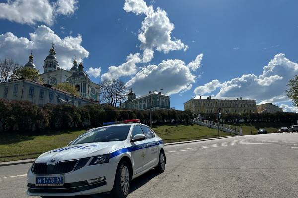 В Заднепровском районе Смоленска 29 июля пройдут «сплошные проверки» водителей