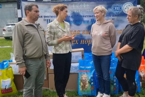 Смоляне помогают собакам и кошкам из Курска
