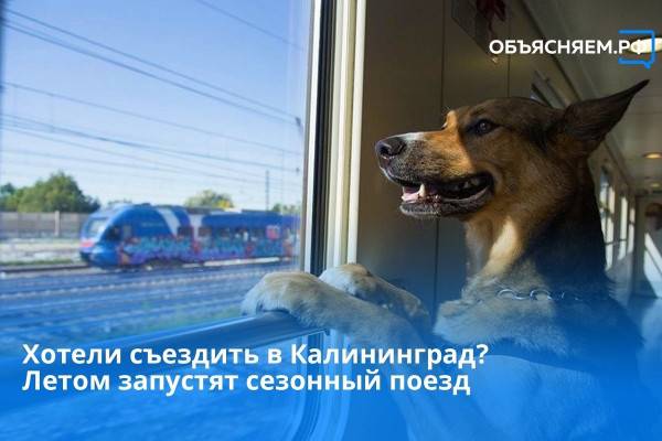 Поезд до Калининграда будет курсировать через Смоленск летом Поезд до Калининграда будет курсировать через Смоленск летом