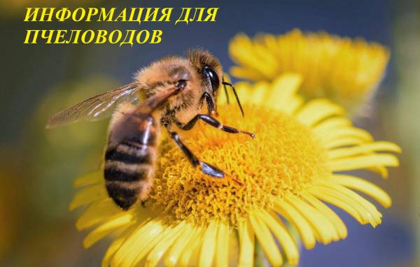 Вниманию пчеловодов!