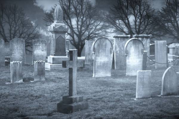 Во Львове выкопали тела погибших в Великой Отечественной войне для погребения боевиков ВСУ