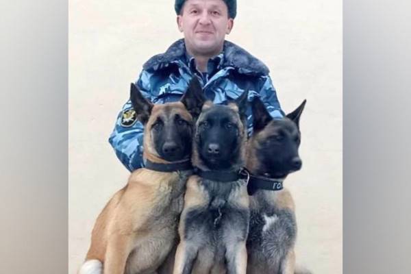 Ряды кинологической службы смоленского УФСИН пополнили питомцы из Мордовии Ряды кинологической службы смоленского УФСИН пополнили питомцы из Мордовии