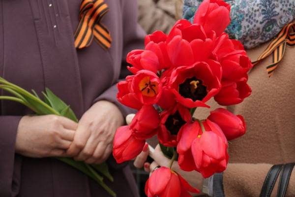 В Смоленской области будут искать родственников, которые пропали во время войны