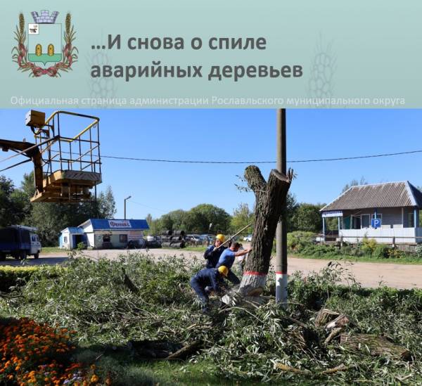 Безопасность восстановлена: аварийное дерево обрезано в пятнадцатом микрорайоне