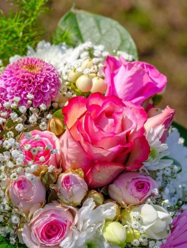 Школьница из Рославля получила сто баллов на ЕГЭ по русскому языку Школьница из Рославля получила сто баллов на ЕГЭ по русскому языку