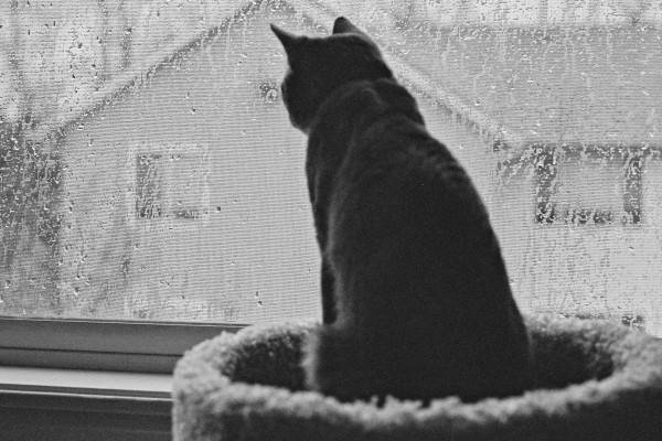 24 марта в Смоленске ожидается облачная погода