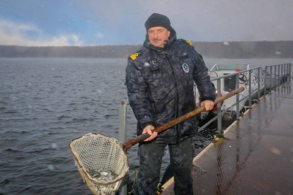 Смоленская АЭС выпустила более 200 тысяч мальков белого толстолобика в Десногорское водохранилище