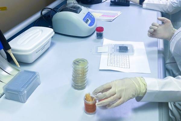 Вакцинация против туляремии в Смоленской области Вакцинация против туляремии в Смоленской области