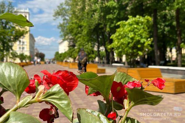 Погода в Смоленской области на 25 июня
