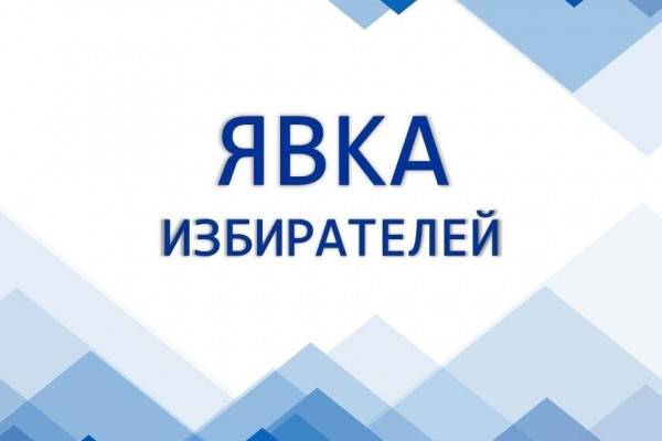 Во втором дне выборов президента в Смоленской области явка составила 54,69%