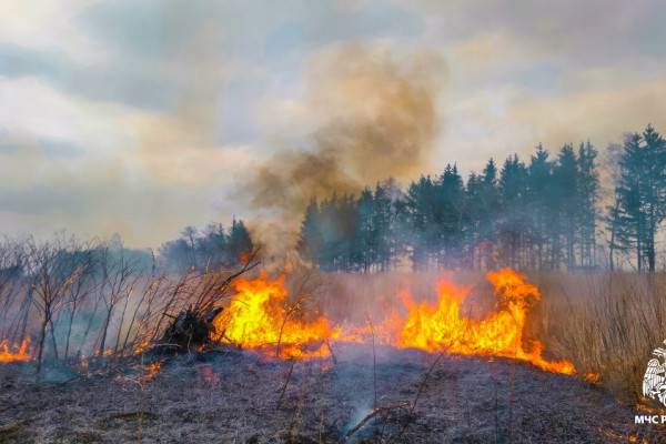 Тушение пожаров на полях в Смоленском районе Тушение пожаров на полях в Смоленском районе