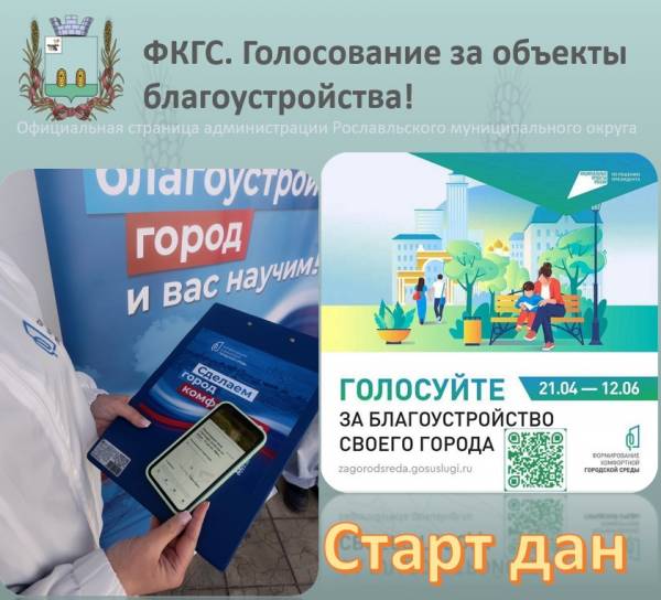 Голосуем за благоустройство вместе с волонтёрами корпуса «ДОБРОволец РМК»