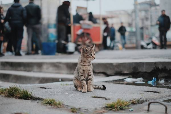 Завтра в Смоленске немного потеплеет