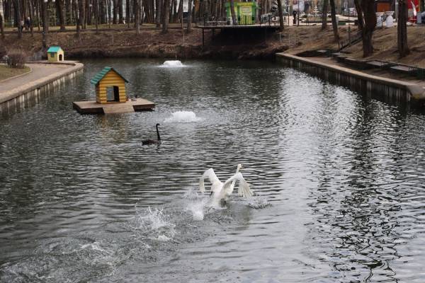 20 апреля погода в Смоленской области существенно не изменится 